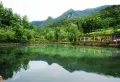 红星九湾天铂楼盘图38
