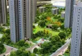 中大汇楼盘图24