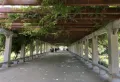 中国铁建花语拾光楼盘图22