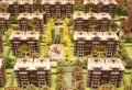 万科红墅楼盘图35
