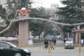 雲栖府户型图36