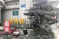 墨香居户型图32