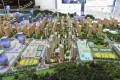 万科山望户型图