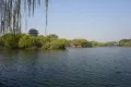 雲栖府户型图28