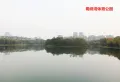 文一云湖轩楼盘图9