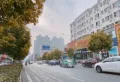 中成九都城楼盘图37