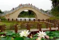 国贸天峯楼盘图29