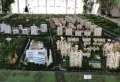 兴桐鑫城楼盘图10