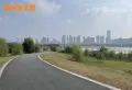 旭辉望江来楼盘图11