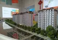 枫香雅苑楼盘图4