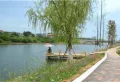 铜锣湾1号楼盘图14