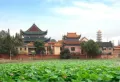铜锣湾1号楼盘图17