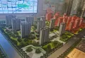 中鼎麒麟瑞楼盘图16