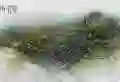 青城神韵二期楼盘图4