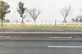 滨江天懿户型图