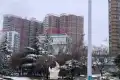 府西泽苑户型图
