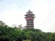 华侨城滨江天地户型图