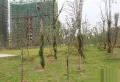 梅湖香榭丽楼盘图70
