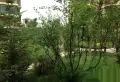群星国际新城楼盘图4