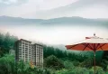 四建美林花园楼盘图7