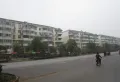 博泰生命树楼盘图220