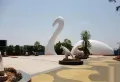城泰江来楼盘图101