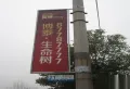 博泰生命树楼盘图217