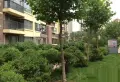 群星国际新城楼盘图5