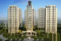 新力洲悦楼盘图8