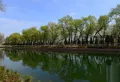 凯德麓语楼盘图59