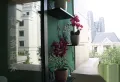 博泰生命树楼盘图104