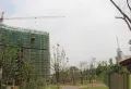 梅湖香榭丽楼盘图44