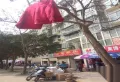 滨江丽景楼盘图82
