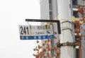 新力洲悦楼盘图124
