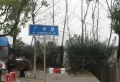 博泰生命树楼盘图210