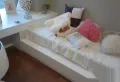 中海朝阳郡楼盘图304