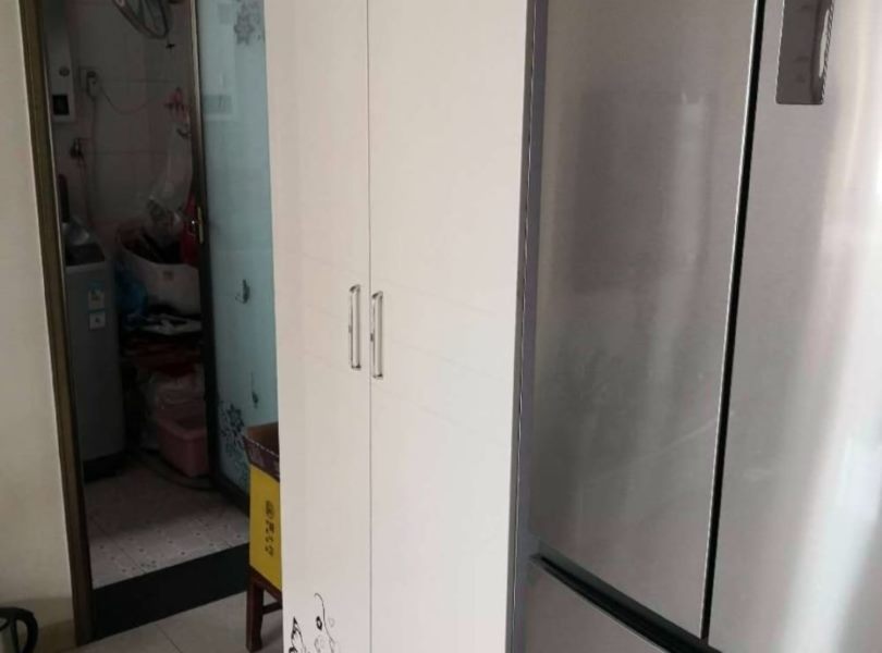 北延新居B区1室1厅1卫朝东北普通出租