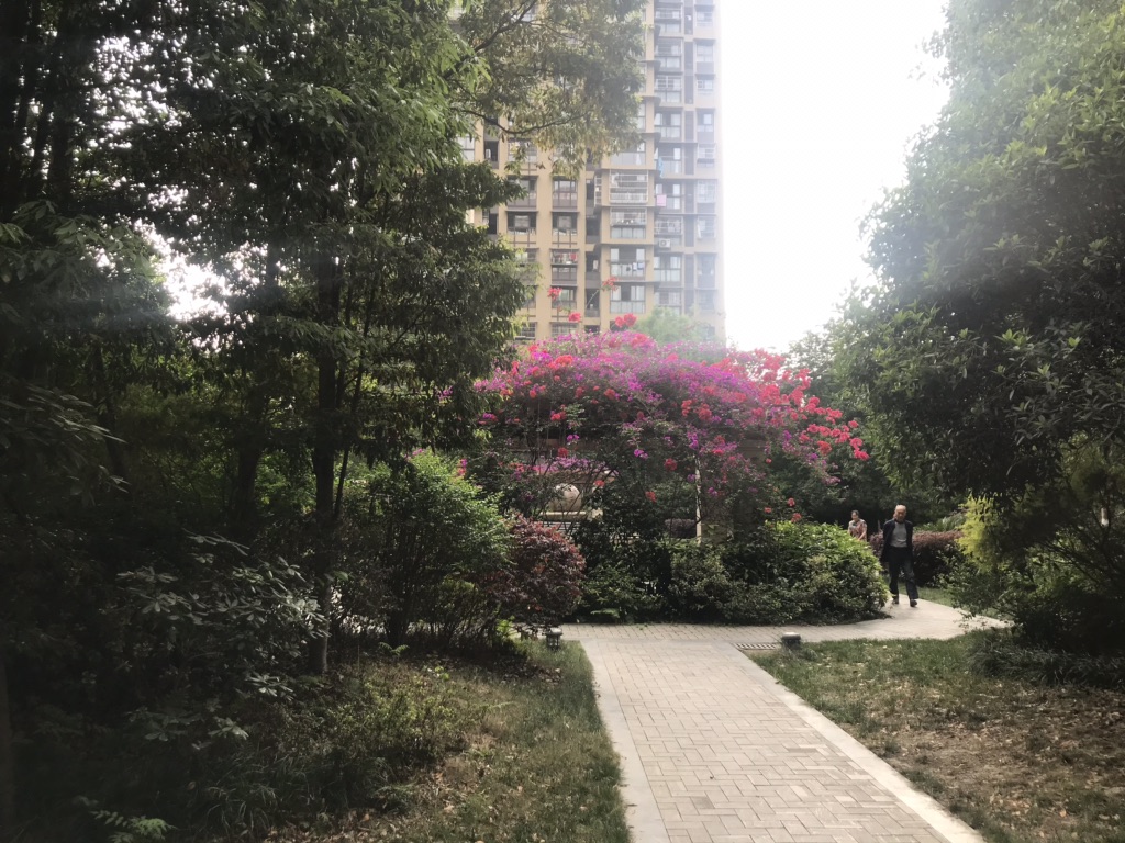 知汇华庭,玖隆知汇华庭 104平米 819