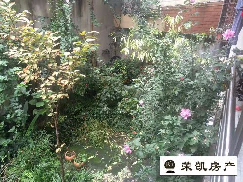鸿兴花园,鸿兴花园 98.0平米 53.0万1