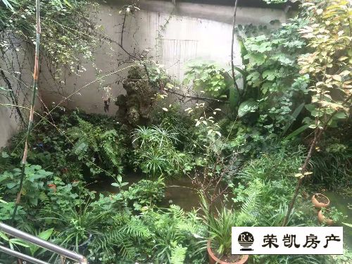 鸿兴花园,鸿兴花园 98.0平米 53.0万5