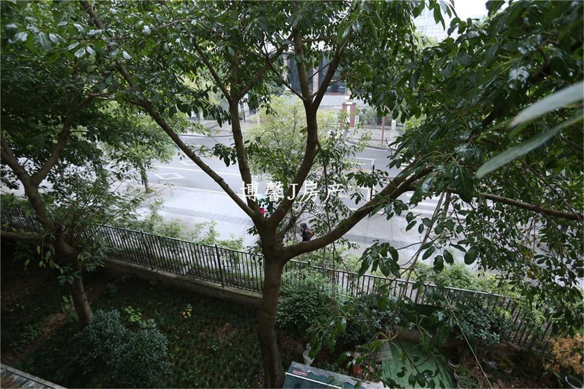 兴隆小区二期,兴隆小区二期 户型方正6