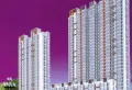 百家新城楼盘图3
