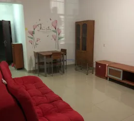 大鹏新区-大鹏-下沙统建楼