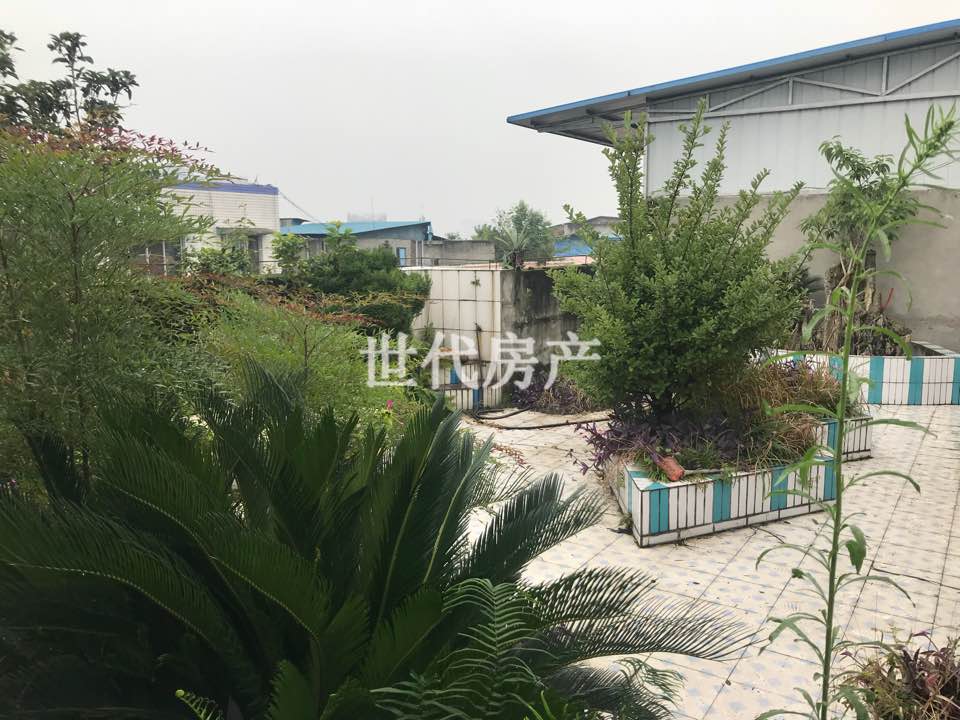 北街208号院,买房请看:实用,安静,便利,近学校6