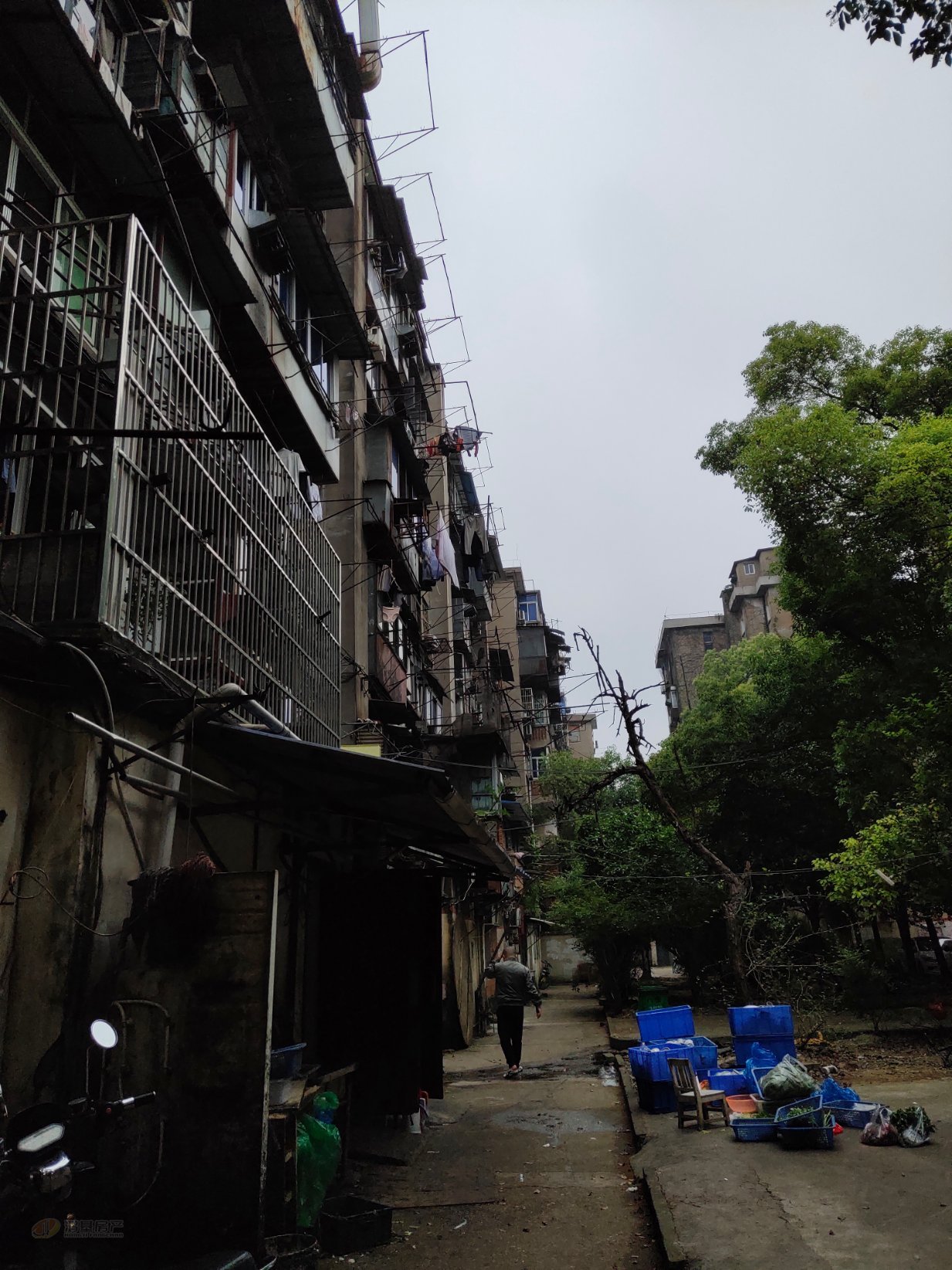 铁路八村,难得一见的铁路八村精装小户型 总价低,朝向好!4