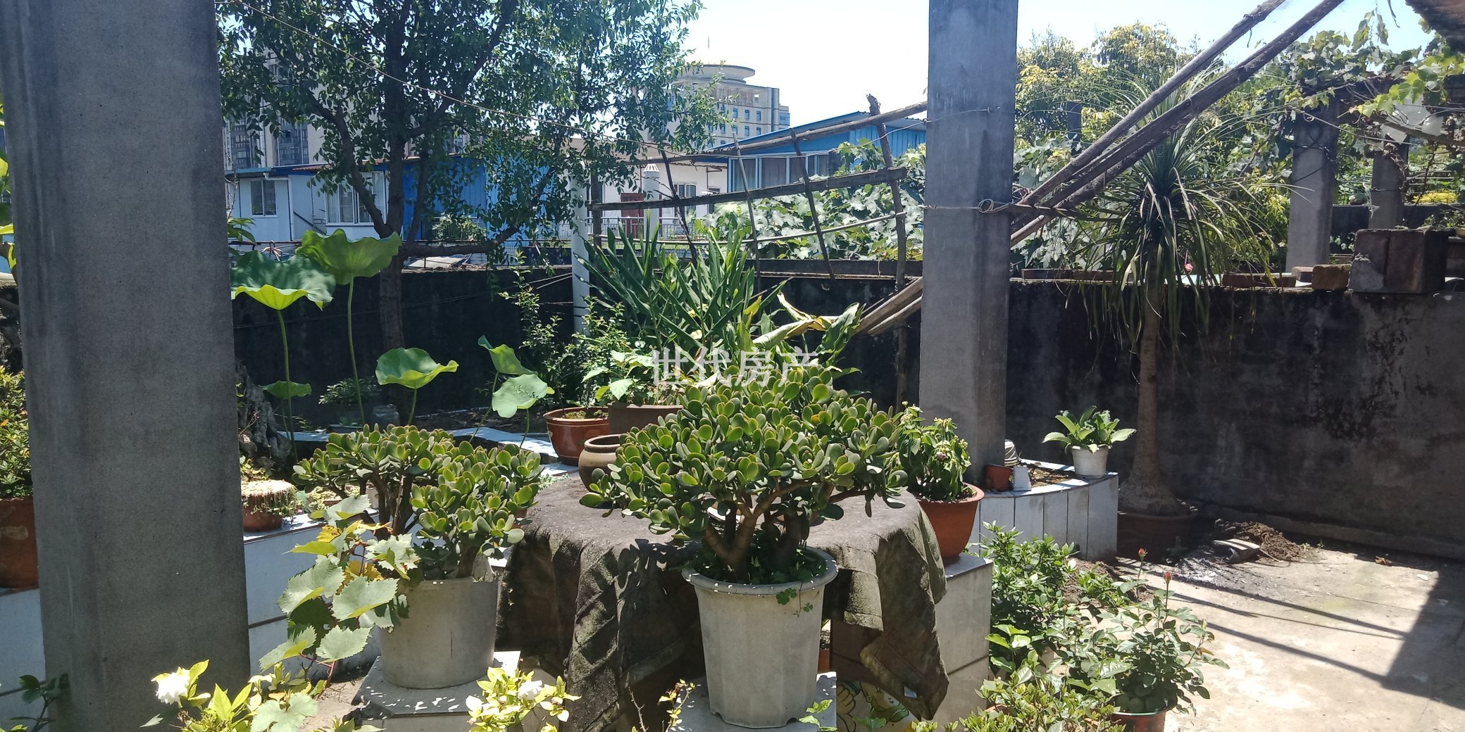 犍为广电局宿舍,犍为广电局宿舍 精装带家具家电 房东诚心出售6