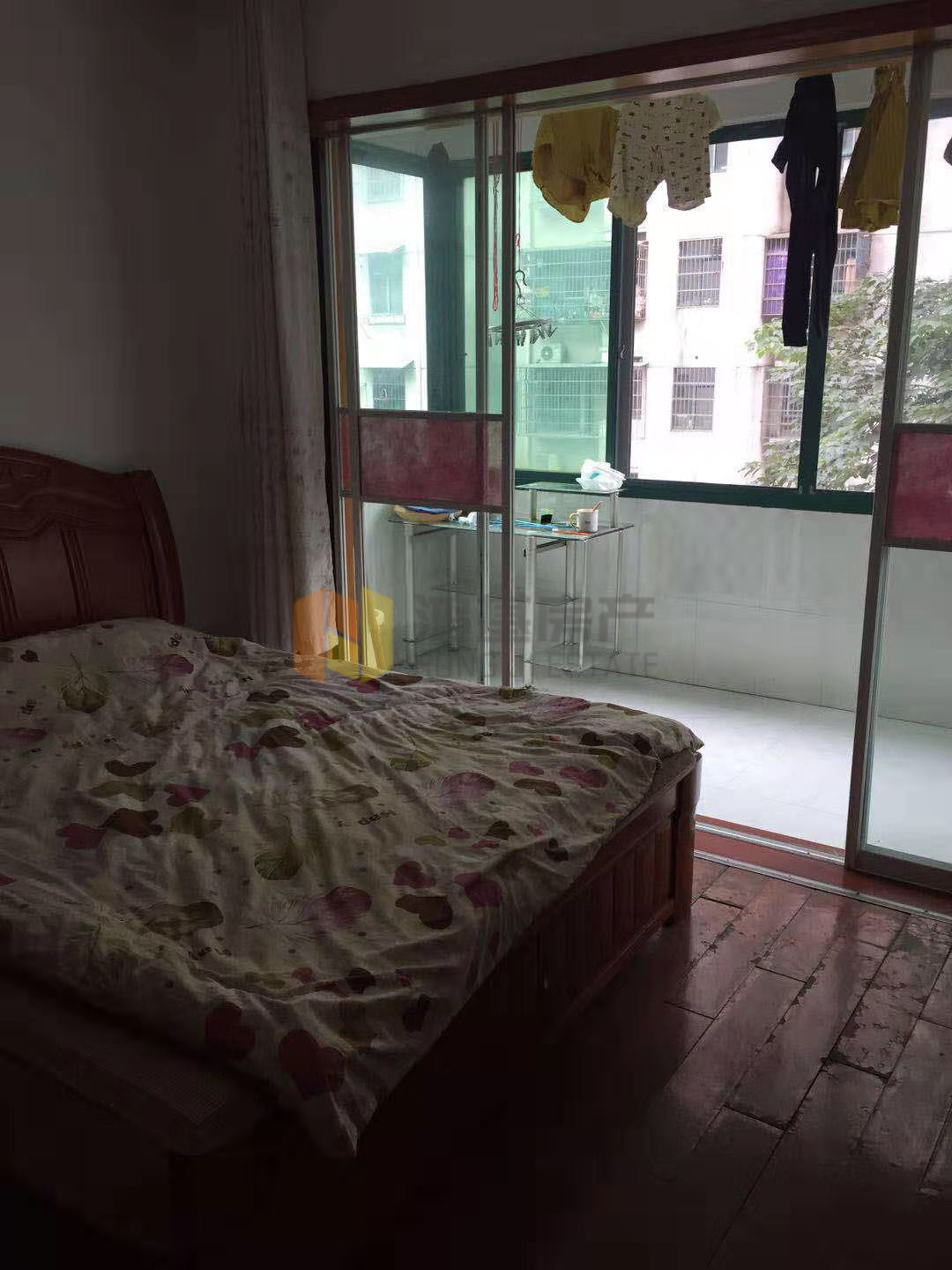 金隆华府,建设路金隆华府 装2室1厅1卫1阳台1