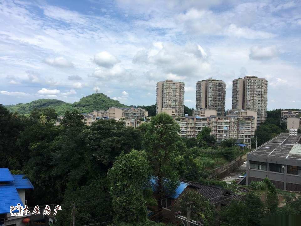 宏丰绿洲花园一期,宏丰绿洲花园一期三室两厅精装10
