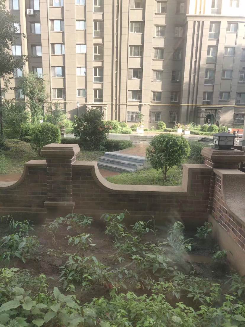 罗马庄园,罗马庄园精装带小花园3