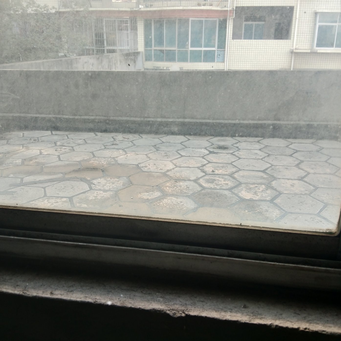 南湖花园教师新村,南湖花园带大露台 好楼层诚意出售6